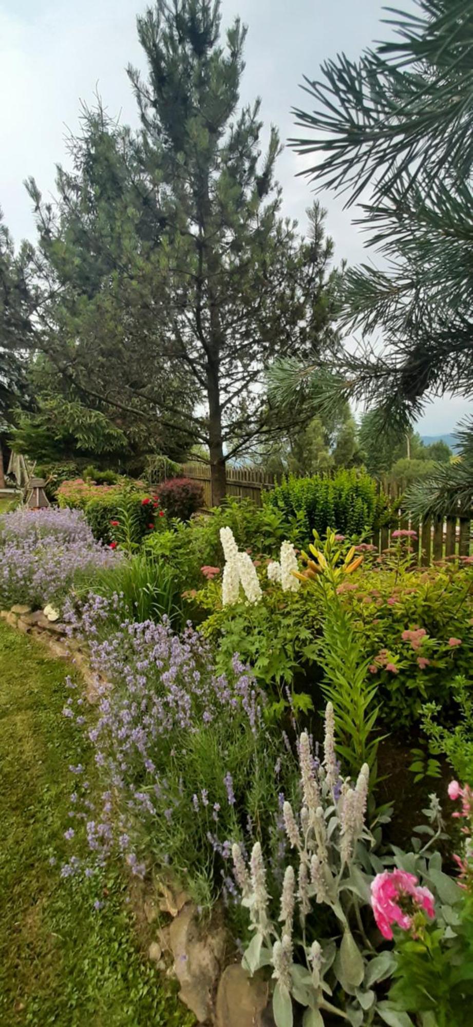 Mizerna Lily Garden B&B 외부 사진