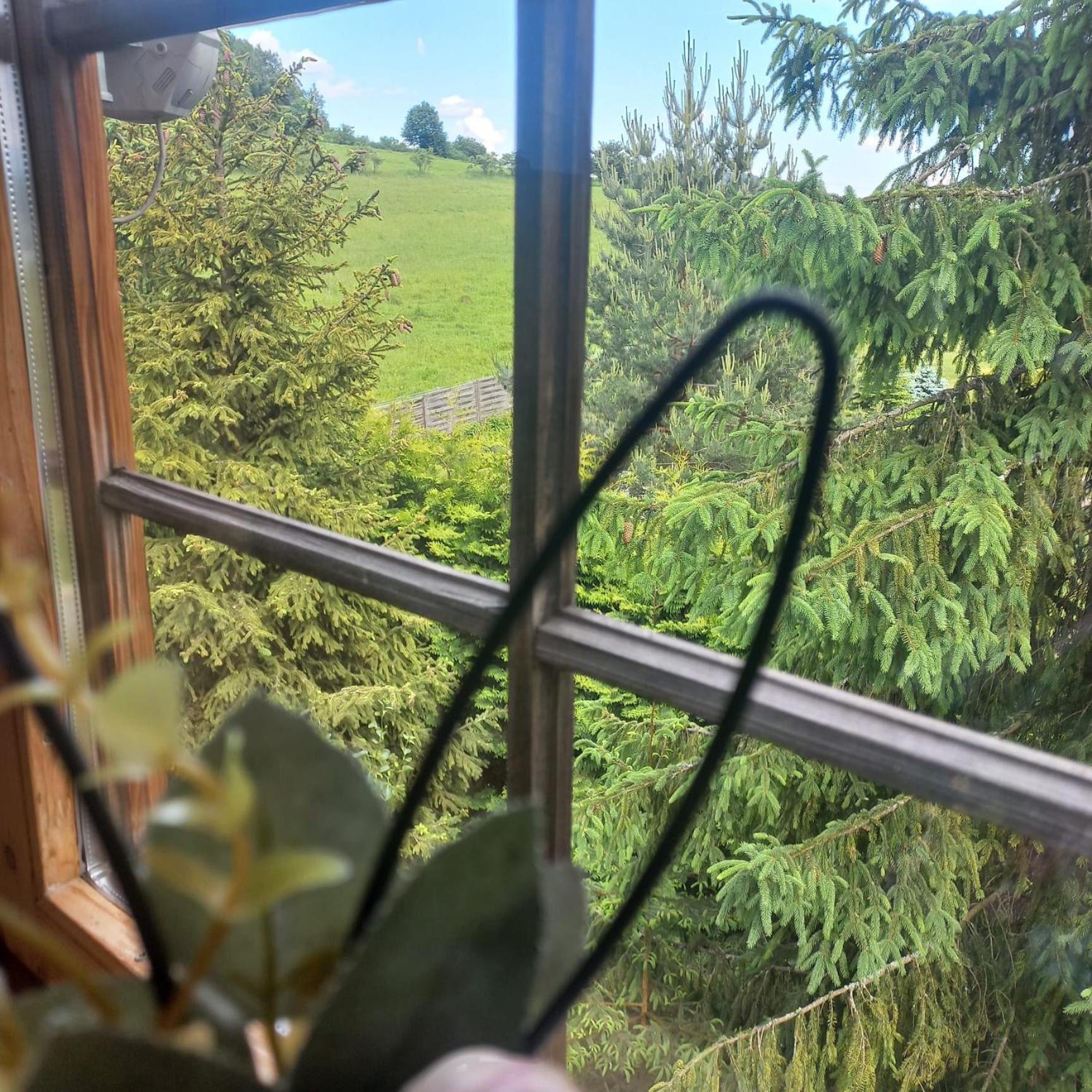 Mizerna Lily Garden B&B 외부 사진
