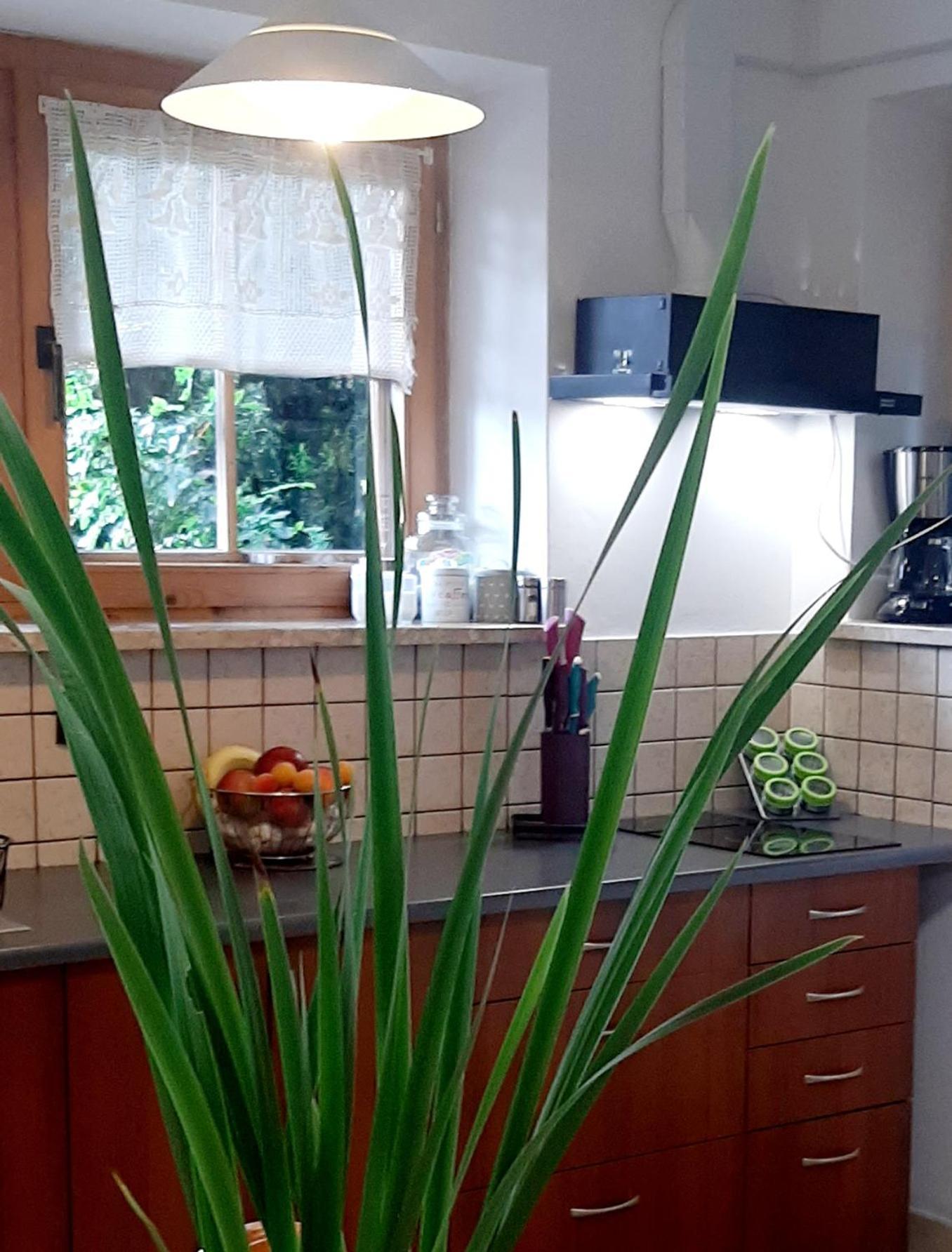 Mizerna Lily Garden B&B 외부 사진